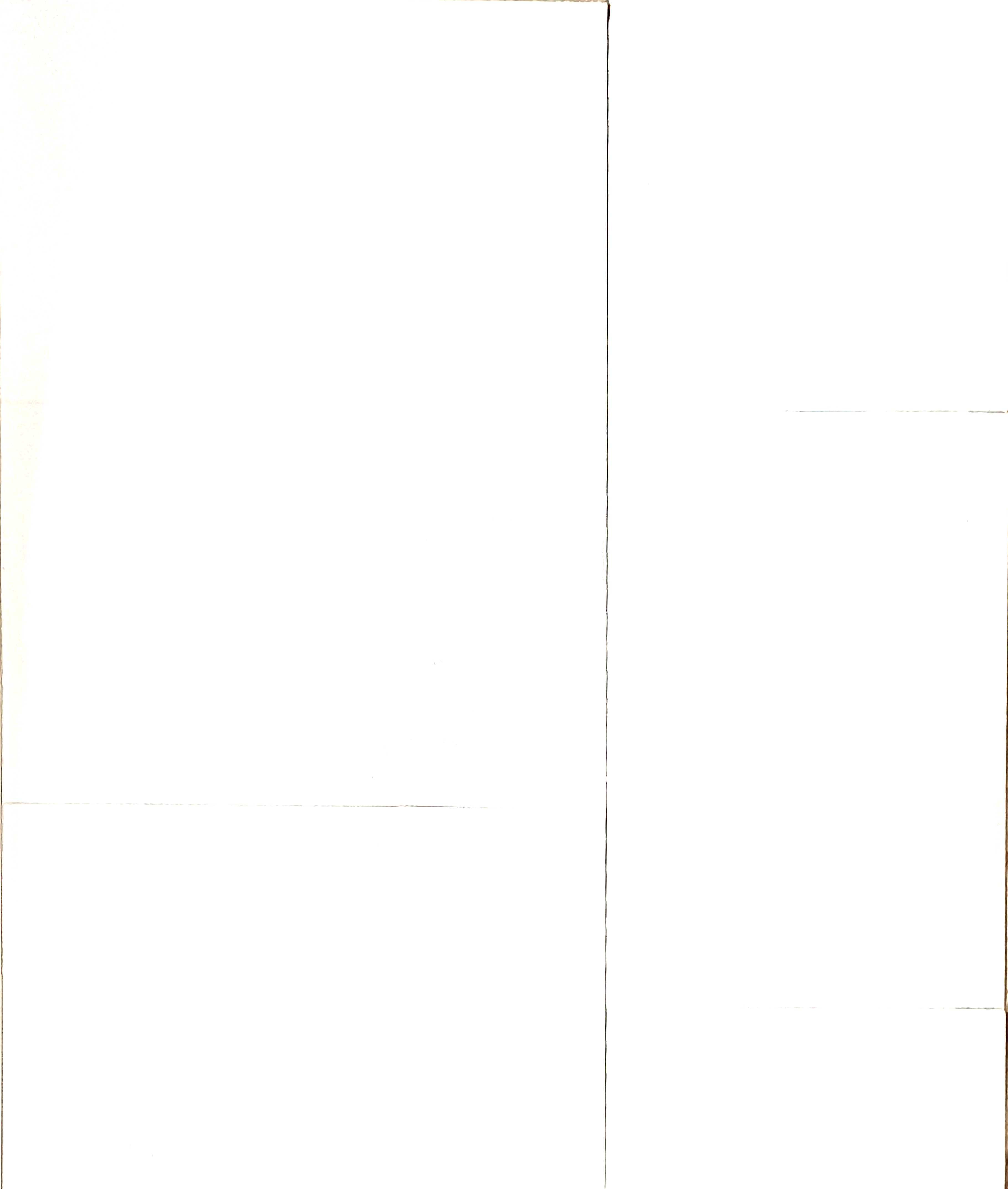 Special color (WHITE)