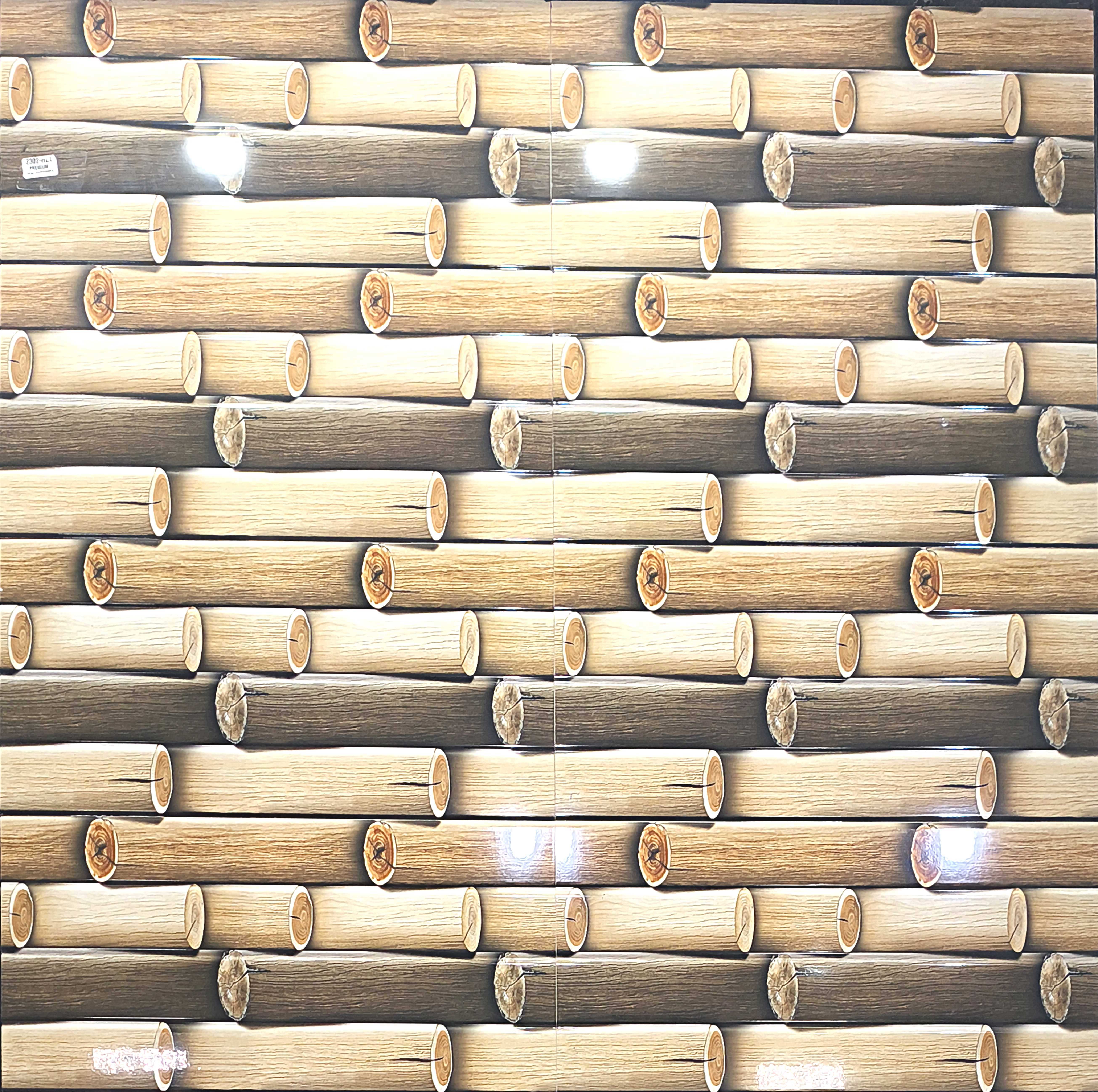 Elevation Special (2302 HL 1)